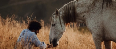 Event-Image for 'The sacred bond between horses & humanity'