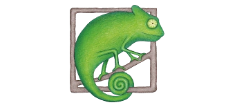 Organisateur de Zentangle (R)*  inspiriertes Zeichnen