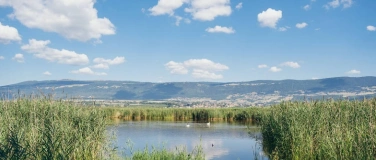 Event-Image for 'NVVT: Vogelexkursion Champ Pittet'