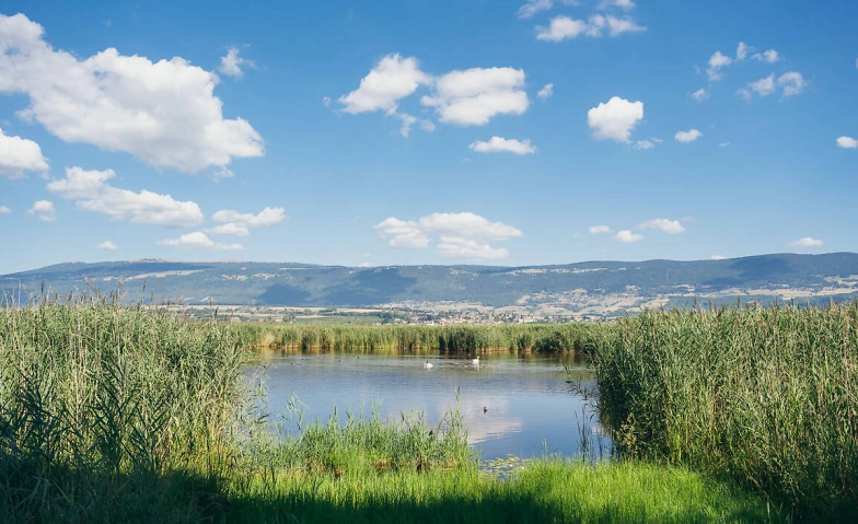 NVVT: Vogelexkursion Champ Pittet Tickets