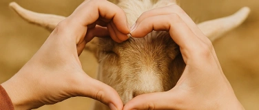 Event-Image for 'Ziegenzeit für starke Kinder'