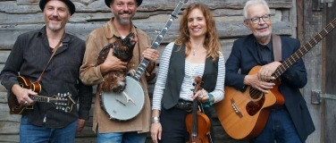 Event-Image for 'Chicken Ruckus'