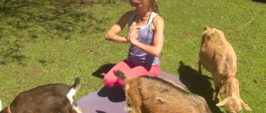 Event-Image for 'Yoga'