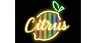 Event organiser of LE BAL D&rsquo;AMANDA &mdash; Doll House Edition