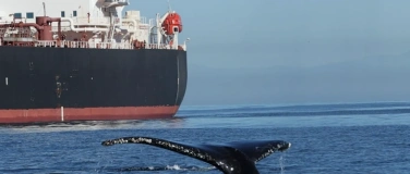 Event-Image for 'Collision'