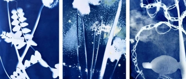 Event-Image for 'Mit Sonnenlicht drucken &ndash; Cyanotypie im Park'