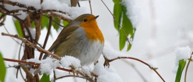 Event-Image for 'Erlebnisführung: Tierische Wintervorbereitungen'