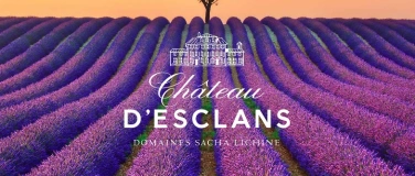 Event-Image for 'Winzertage Chateau d&Eacute;sclans ( Whispering Angel )'