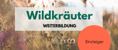 Event-Image for 'Wildkräuter Weiterbildung für Einsteiger*innen Rhein-Main'