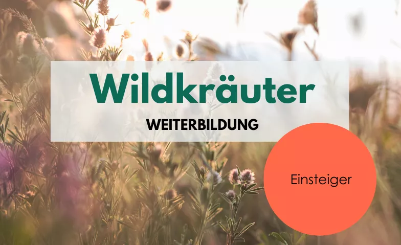 Wildkräuter Weiterbildung für Einsteiger*innen Rhein-Main Kultur- und Tagungshaus Rauenthal, Hauptstraße 6, 65345 Eltville am Rhein Billets