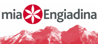 Event organiser of Konzert Gianni Tschenett