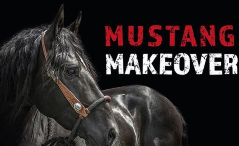 Event-Image for 'Mustang Makeover'