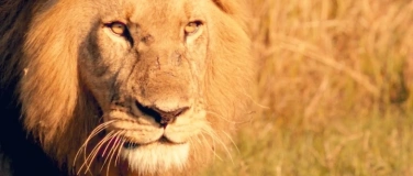 Event-Image for 'Dethroned'