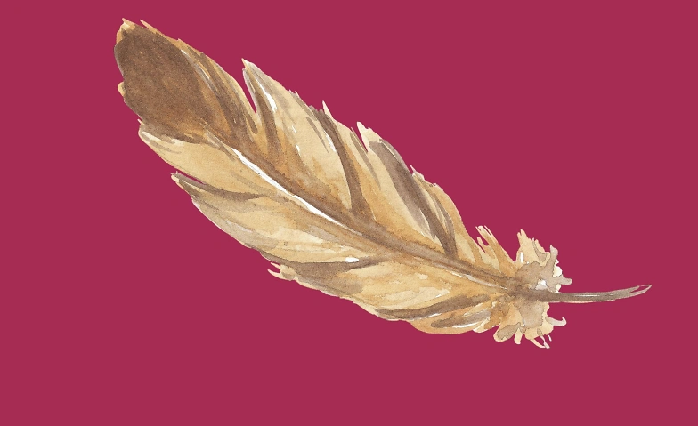 Event-Image for 'Familien-Abenteuer Felle und Federn'