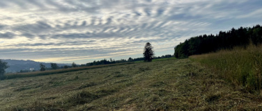 Event-Image for 'Die Auer B&uuml;rger und ihr Riet in Lustenau &ndash; damals und heute'