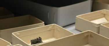 Event-Image for 'Die fossilen Ureichhörnchen von Rümikon in der Sammlung'