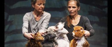 Event-Image for 'Die Muskeltiere'