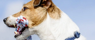 Event-Image for 'Theater Kanton Zürich - Der Diener zweier Herren'