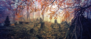 Event-Image for 'DIE SEELE DES WALDES'