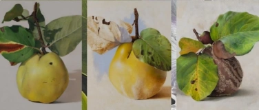 Event-Image for 'Ausstellung "Quittenportraits" von Diethard Sohn'