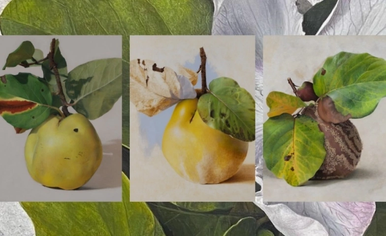 Event-Image for 'Ausstellung "Quittenportraits" von Diethard Sohn'