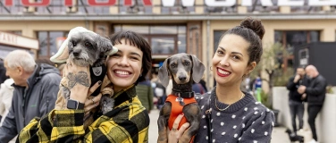 Event-Image for 'DogWorld 2025 & 3. Münchner DackelRace'