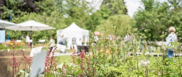 Event-Image for 'Grevenbroicher GartenGenuss'