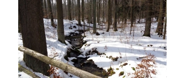 Event-Image for 'Wanderung um Rathewalde mit Sonnenuntergang am Rundblick'