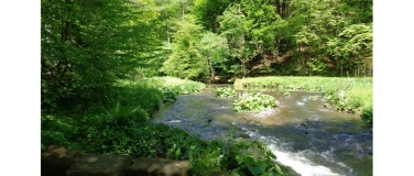 Event-Image for 'Wanderung zu den Felsw&auml;nden im Polenztal.'