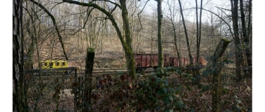Event-Image for 'Wanderung zum Feldbahnmuseum in der Herrenleite bei Lohmen.'