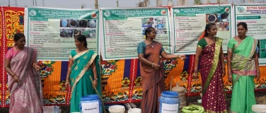 Event-Image for 'Women Leading the Change in Agriculture'