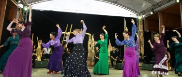 Event-Image for 'Noche Flamenca'