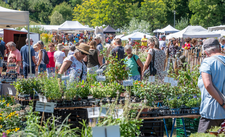 Event-Image for '16. Gartenmarkt "Sommer-Blüten-Träume"'