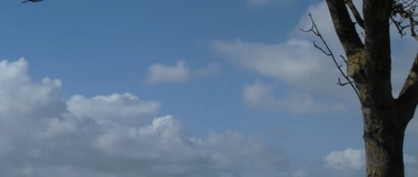 Event-Image for 'Hilfe gegen Telefonbetrug'