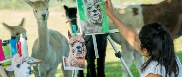 Event-Image for 'Malen inmitten Alpakas'