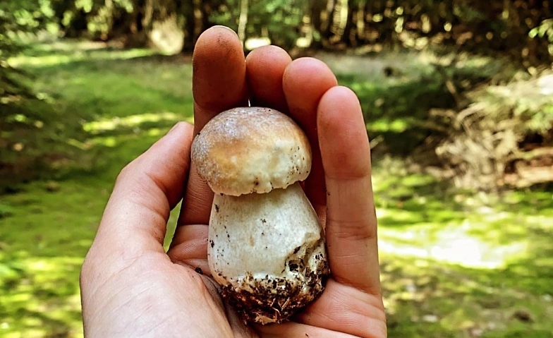 Event-Image for 'EDELPILZ DINNER Industrial Style ‍ EINMALIG'