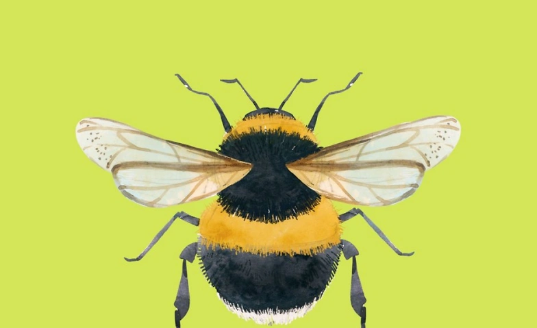 Event-Image for 'Familien-Abenteuer Insekten'