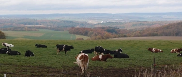 Event-Image for 'E-Bike-Tour Naturerlebnis Kemeler Heide'