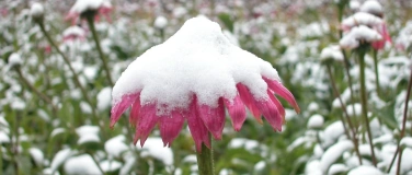 Event-Image for 'Wintertag'