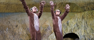 Event-Image for 'Eddi das Erdmännchen'