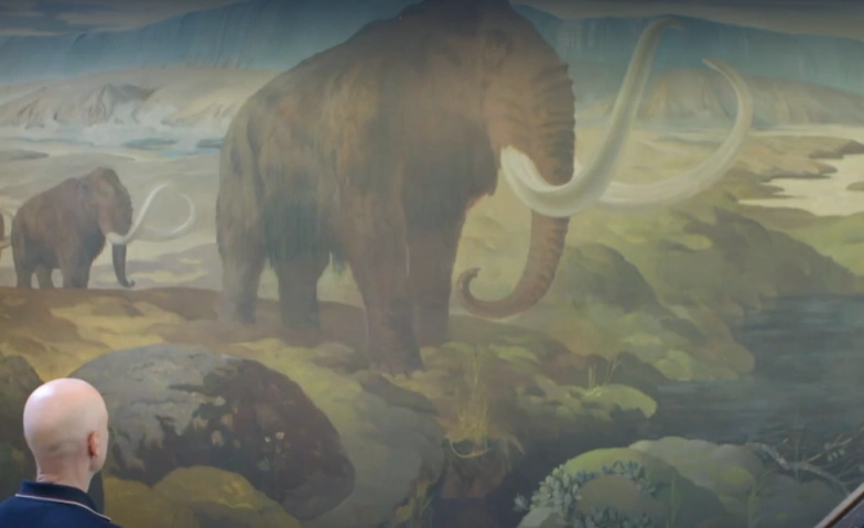 Ein Mammut-Projekt, Tickets