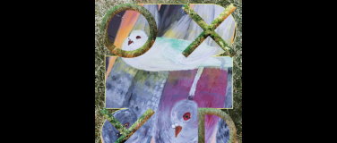 Event-Image for 'Einnisten: Stadtnatur zwischen Ausruhen und Aufwachen. Rundg'