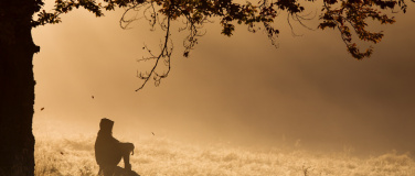 Event-Image for '14-Tages-Retreat im Little Paradise bei Hamburg.'