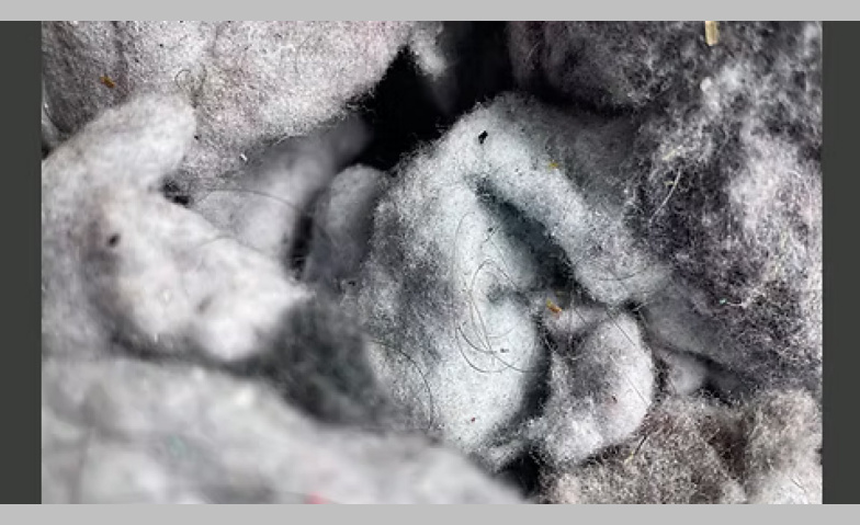 Event-Image for 'Elke Neumann – sammeln, falten, mischen'