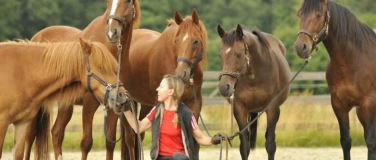 Event-Image for 'Akademische Reitkunst und Pferdeoteopathie'