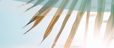 Event-Image for 'Endless Summer im Badeparadies'