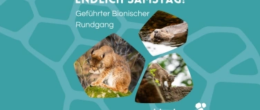 Event-Image for 'Endlich Samstag! F&uuml;hrung im April'