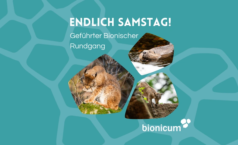Event-Image for 'Endlich Samstag! F&uuml;hrung bionischer Rundgang im Tiergarten'