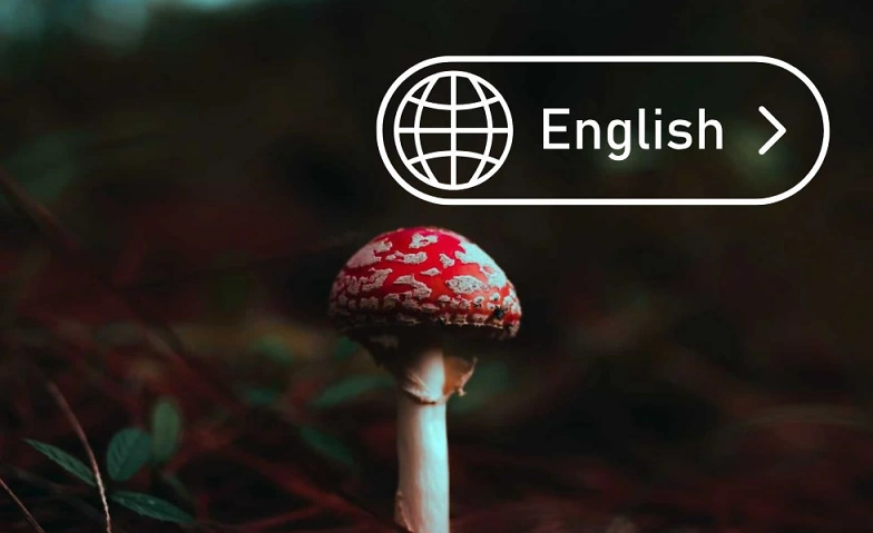 Event-Image for 'Mushroom Course in Berlin'