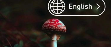 Event-Image for 'Mushroom Course in Berlin'